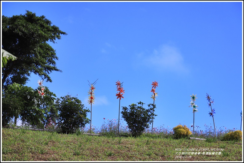 長濱星龍花園-2018-11-75.jpg 長濱星龍花園-2018-11-75.jpg