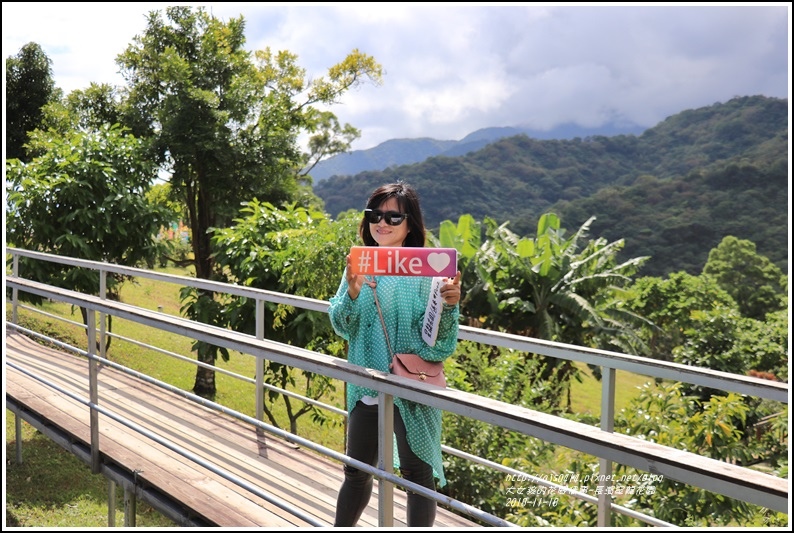 長濱星龍花園-2018-11-78.jpg 長濱星龍花園-2018-11-78.jpg
