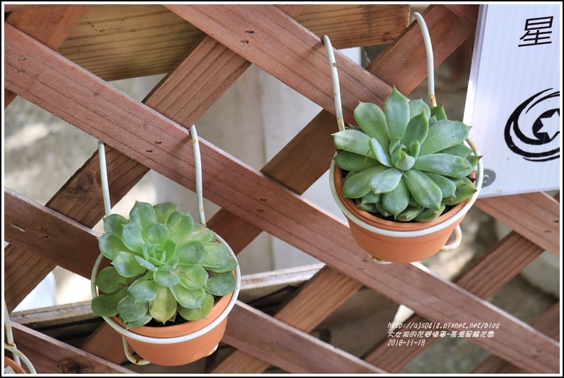 長濱星龍花園-2018-11-80.jpg 長濱星龍花園-2018-11-80.jpg
