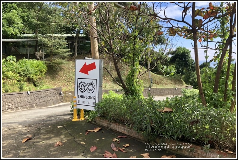 長濱星龍花園-2018-11-85.jpg