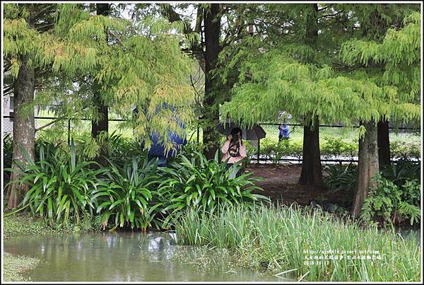 雲山水植物農場-2018-11-13.jpg