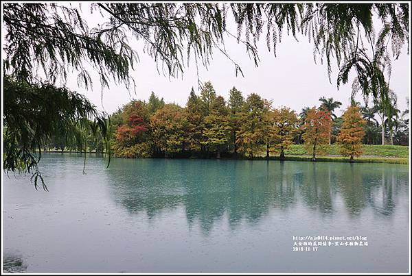 雲山水植物農場-2018-11-14.jpg