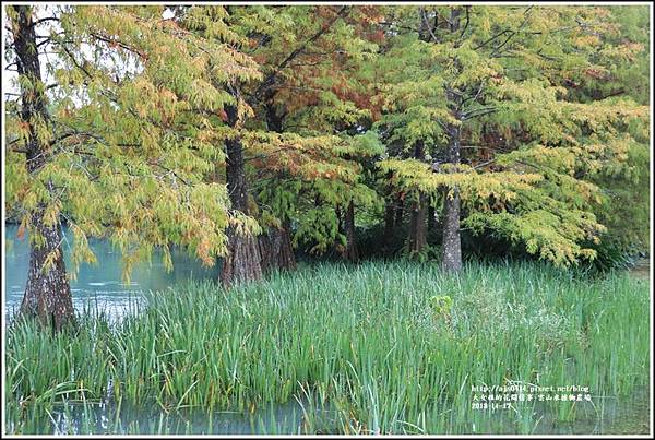 雲山水植物農場-2018-11-16.jpg