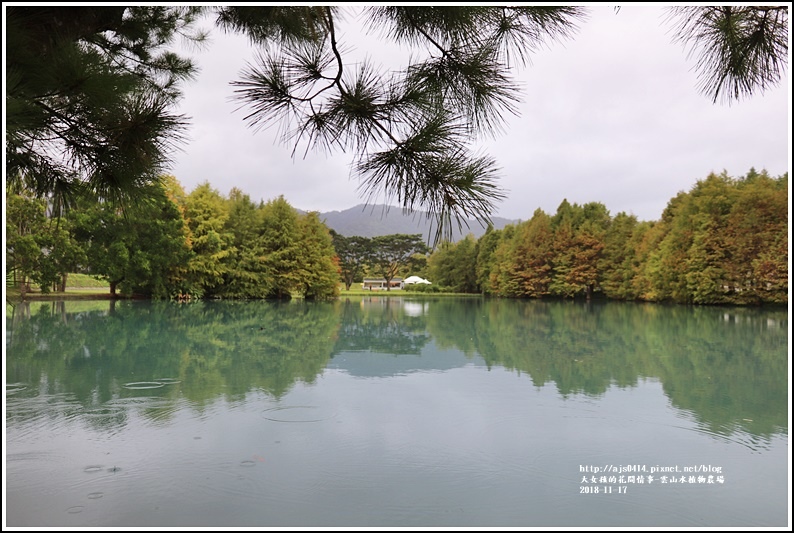 雲山水植物農場-2018-11-20.jpg