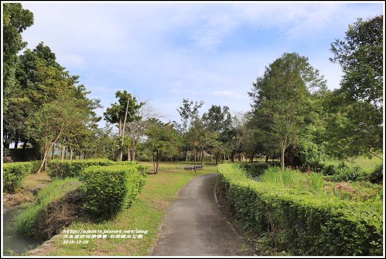 初英生態親水公園,楓林步道,吉安鄉,落羽松林,吉安大圳,福興村,花蓮市,花蓮,步道