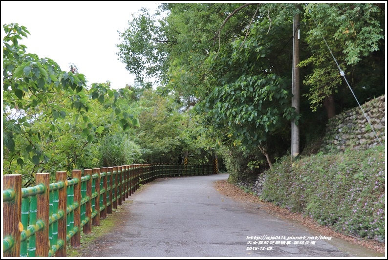 楓林步道-2018-12-10.jpg