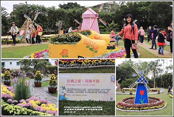 士林官邸菊花展-2018-12-45.jpg