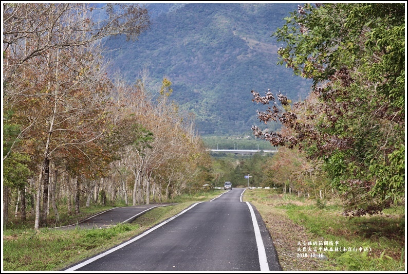 大農大富平地森林(南自行車道)-2018-12-01.jpg