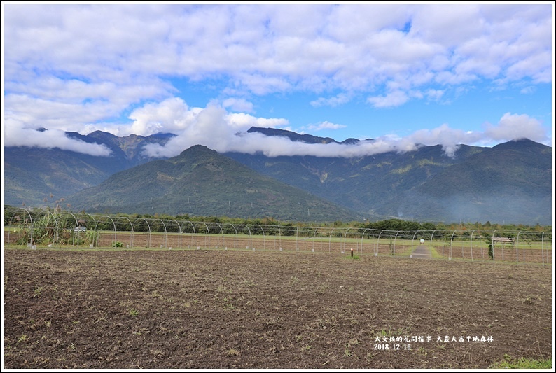 大農大富平地森林-2018-12-01.jpg