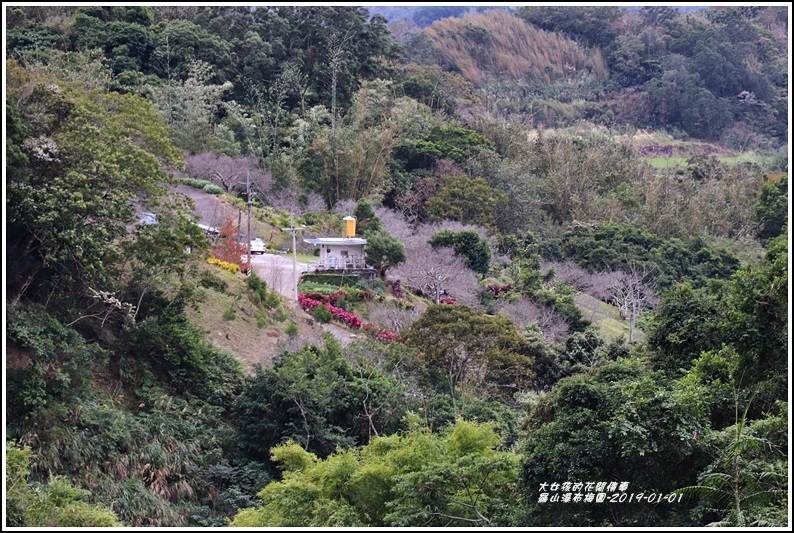 羅山瀑布,梅花,羅山大魚池,九曲橋,羅山泥火山,油菜花,羅山有機村,花蓮,羅山村,步道