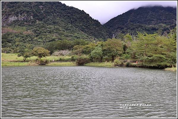 羅山大魚池-2019-01-05.jpg