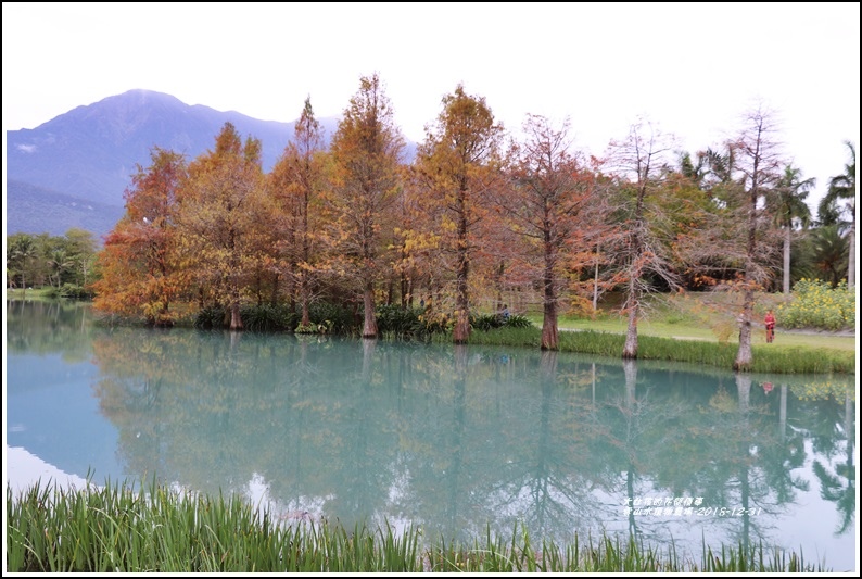 雲山水植物農場-2018-12-03.jpg