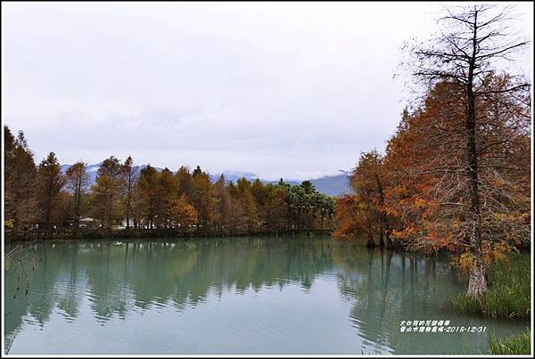 雲山水植物農場-2018-12-10.jpg