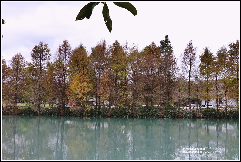 雲山水植物農場-2018-12-16.jpg