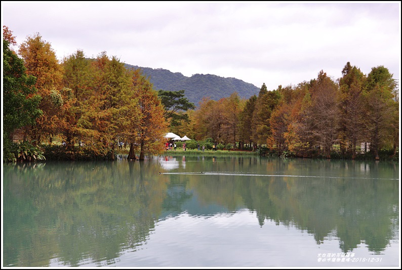 雲山水植物農場-2018-12-17.jpg