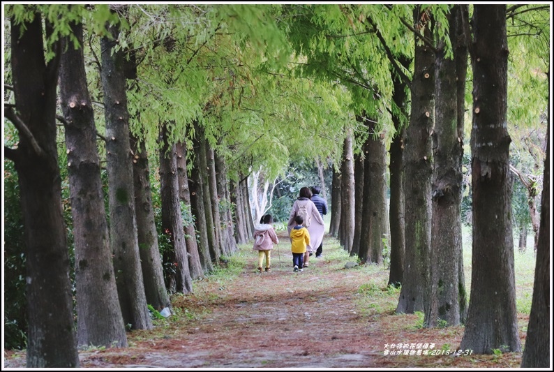 雲山水植物農場-2018-12-27.jpg