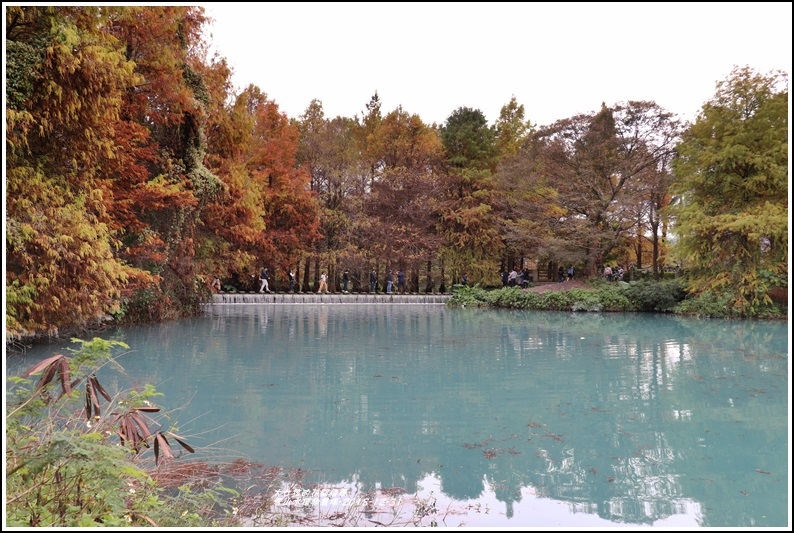 雲山水植物農場-2018-12-38.jpg