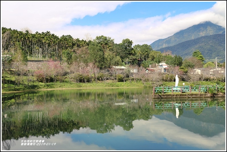 碧赫潭櫻花-2019-01-16.jpg