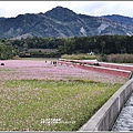 二層坪水橋-2019-01-26.jpg