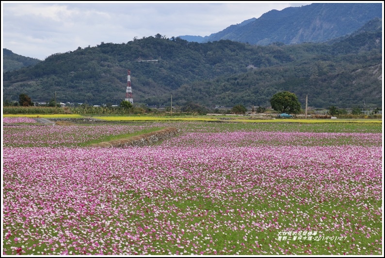 二層坪水橋-2019-01-27.jpg