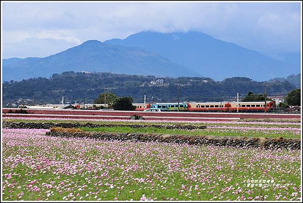 二層坪水橋-2019-01-40.jpg