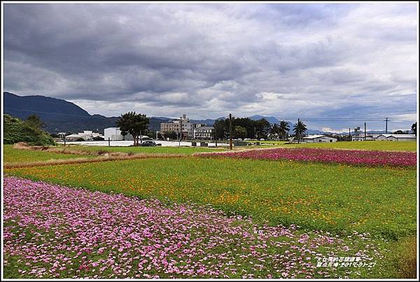 關山花海-2019-01-04.jpg