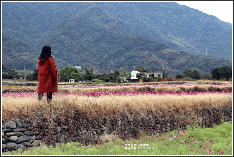 關山花海-2019-01-19.jpg