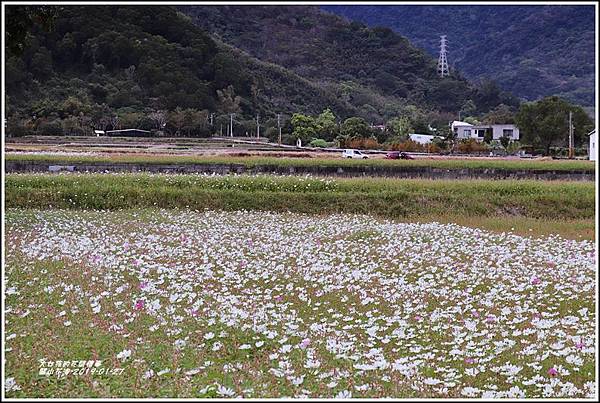 關山花海-2019-01-27.jpg