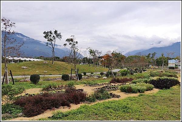 池上四季花園-2019-01-09.jpg