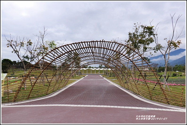 池上四季花園-2019-01-14.jpg