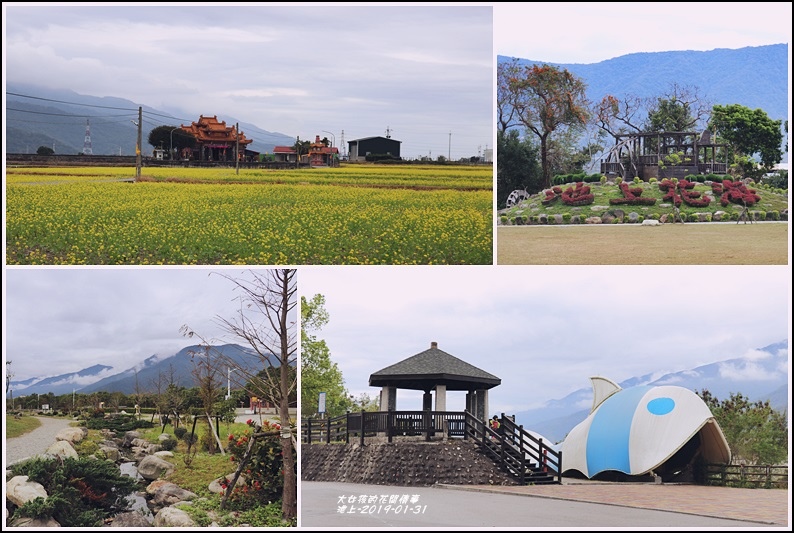 池上四季花海,池上圳進水口水利公園,池上福德宮,金城武樹,伯朗大道,台東客家文化園區,日暉國際渡假村,台東,池上,四季花海,賞花