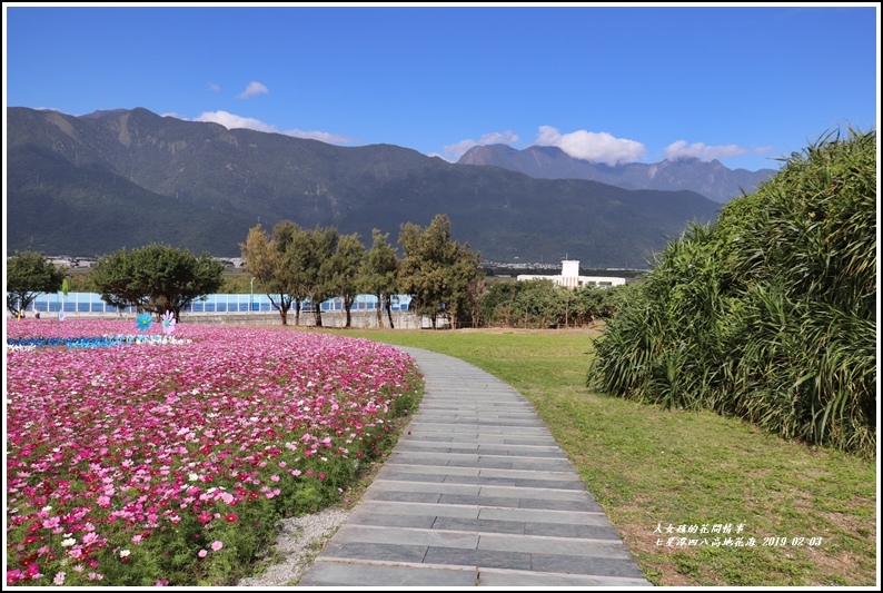 七星潭四八高地花海-2019-01-19.jpg