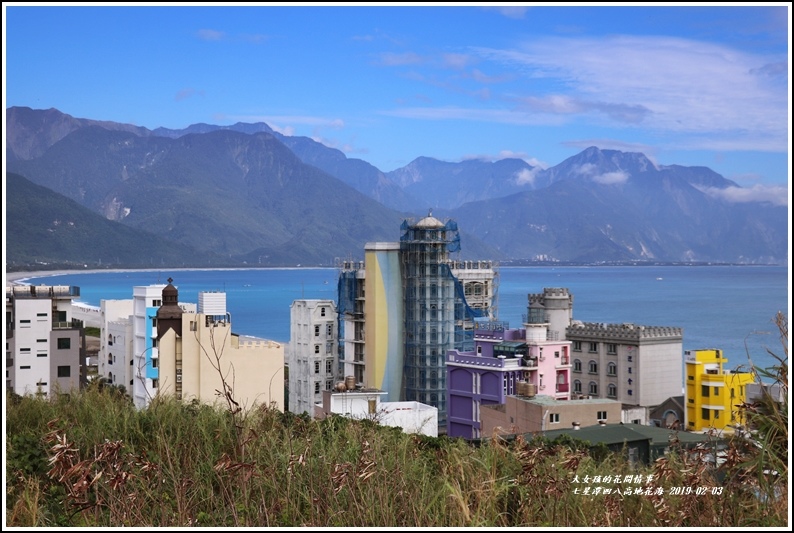 七星潭四八高地花海-2019-01-25.jpg