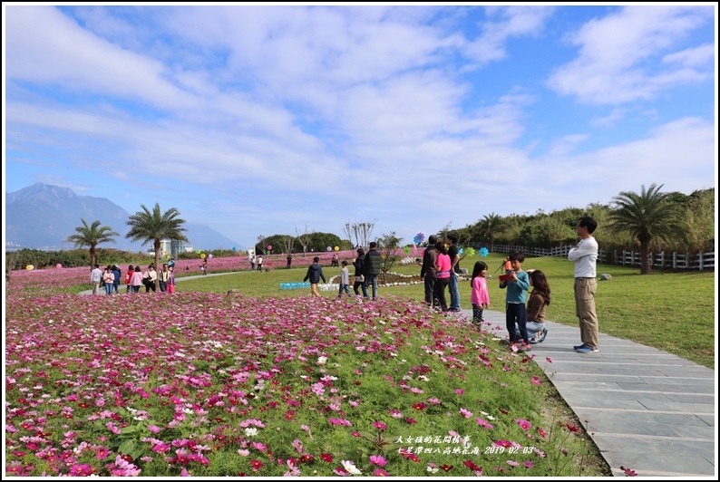 七星潭四八高地花海-2019-01-57.jpg