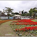 介壽新村花海-2019-02-03.jpg