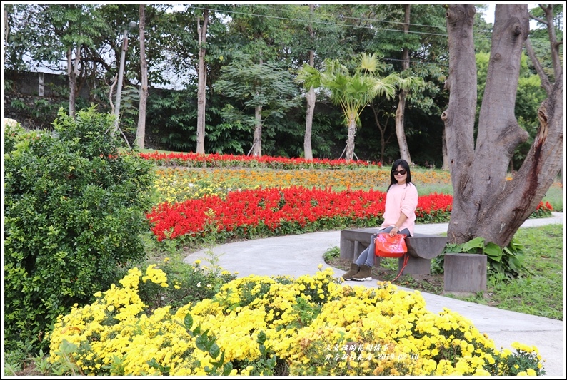 介壽新村花海-2019-02-12.jpg 介壽新村花海-2019-02-12.jpg