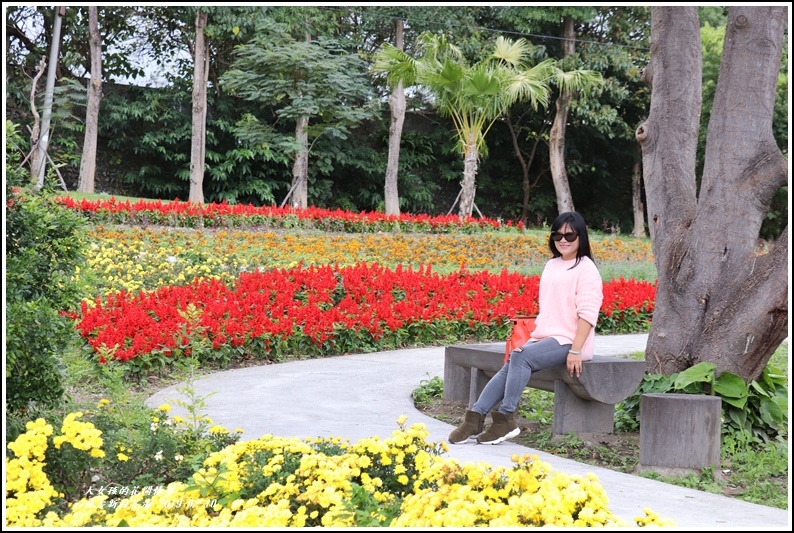 介壽新村花海-2019-02-13.jpg 介壽新村花海-2019-02-13.jpg