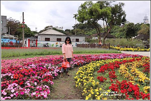 介壽新村花海-2019-02-15.jpg