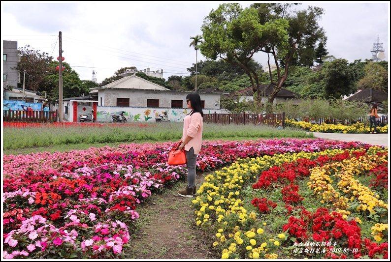 介壽新村花海-2019-02-16.jpg