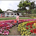 介壽新村花海-2019-02-16.jpg