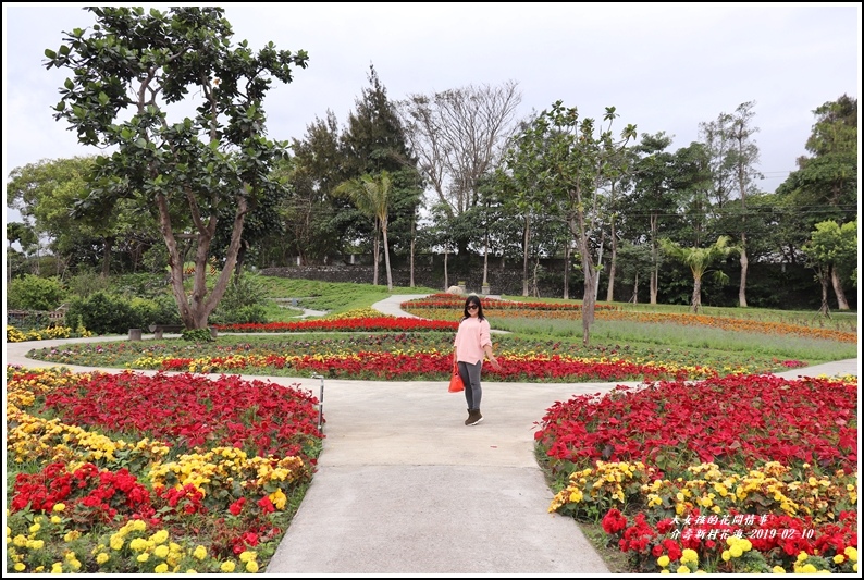 花蓮介壽新村,地景花海,四季秋海棠,社區公園,四八高地,介壽新（眷）村,美崙山公園,花蓮,介壽新村,眷村,花海