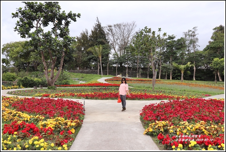 花蓮,介壽新村,眷村,花海,賞花,花蓮景點