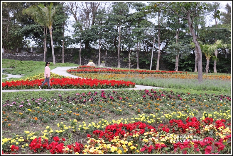 介壽新村花海-2019-02-19.jpg