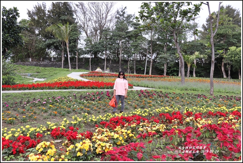 介壽新村花海-2019-02-20.jpg