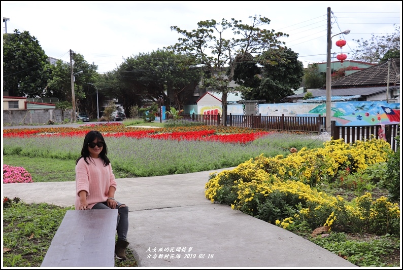 介壽新村花海-2019-02-21.jpg 介壽新村花海-2019-02-21.jpg