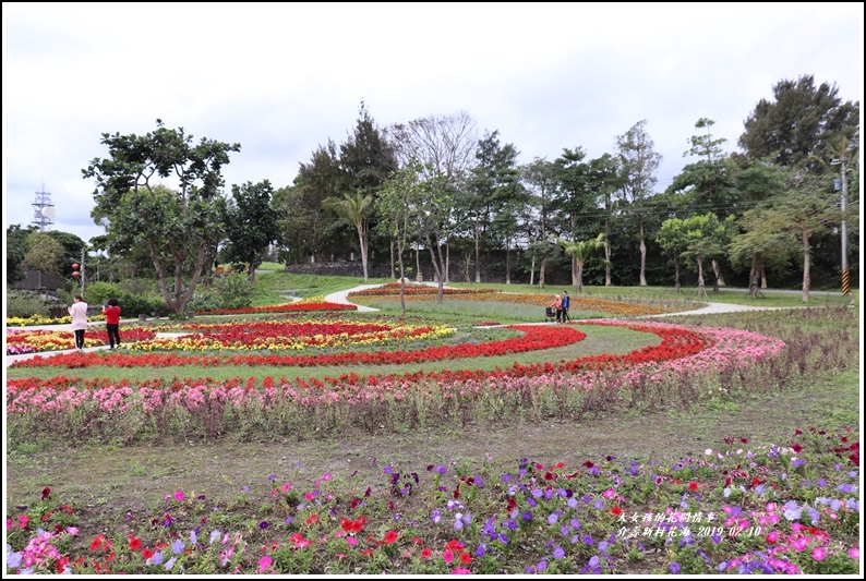 介壽新村花海-2019-02-30.jpg