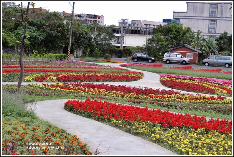 介壽新村花海-2019-02-32.jpg