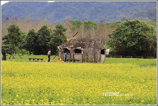 大農大富平地森林-2019-02-07.jpg