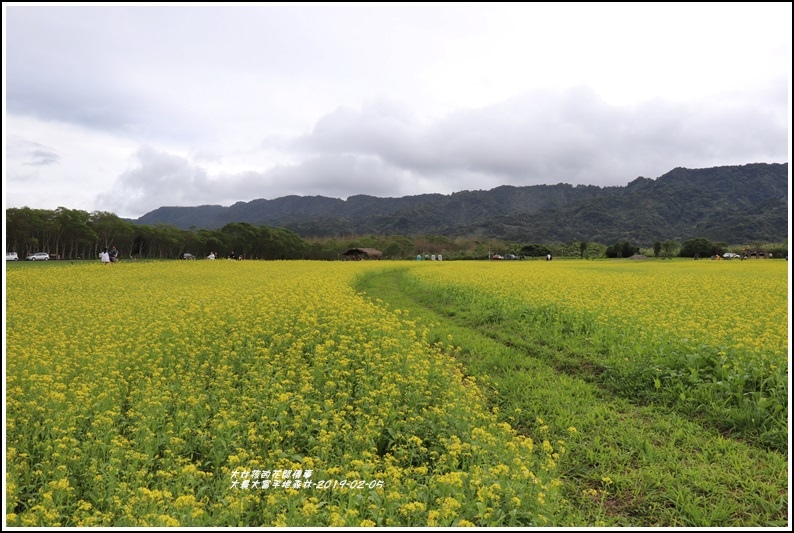 大農大富平地森林-2019-02-17.jpg