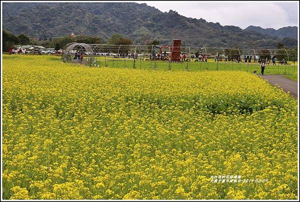 大農大富平地森林-2019-02-18.jpg